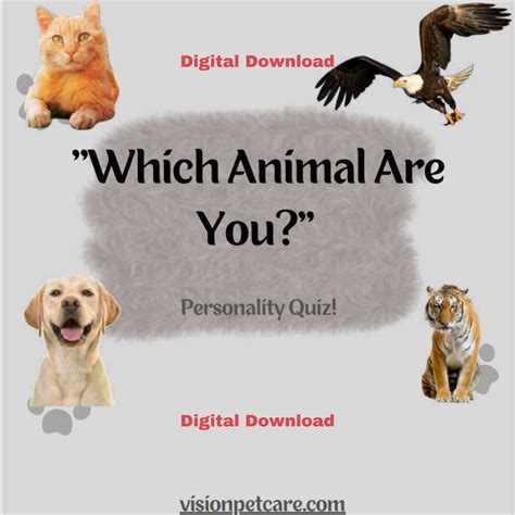 Transform Your Feline's Health and Happiness: Essential Wellness Basics