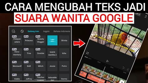 Cara Mengubah Teks Jadi Suara Di Capcut Bisa Suara Ala Wanita Di