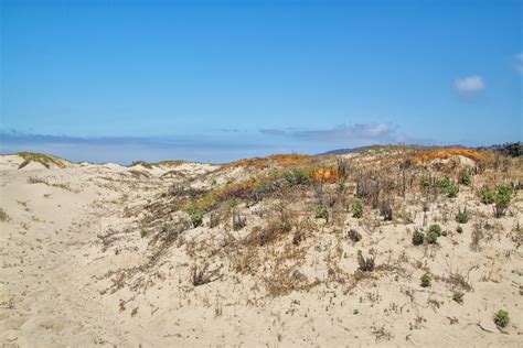 San Buenaventura State Beach in Ventura - California Through My Lens