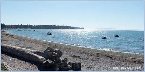 The Ultimate Guide To Birch Bay State Park