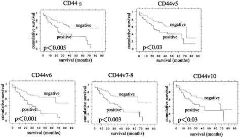 Protein Expression Of Cd44 Standard And Variant Isoforms In Hepatocellular Carcinoma