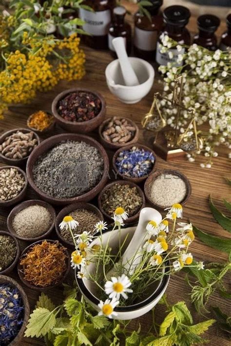 herbal apothecary natural medicine herbs natural herbal home remedy