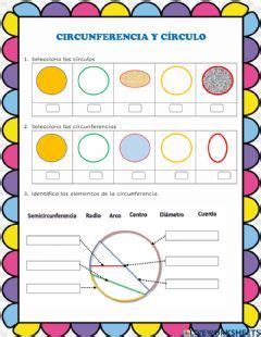 Circunferencia Y C Rculo Idioma Espa Ol O Castellano Curso Nivel