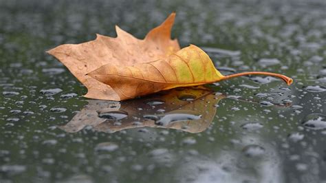 Herbst übernimmt Baden Württemberg das Wetter der kommenden Woche