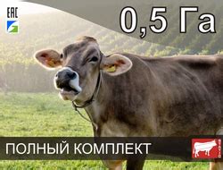 Купить электропастух для коров, цена на электропастух для крс в Москве ...