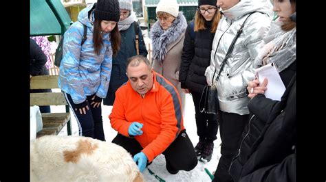 Введение в профессию - YouTube