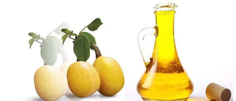 Marula Oil is a natural wonder oil for a healthy skin and body