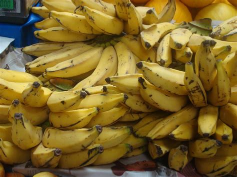 Frutas De Origem Indigena - Frutas De Origem Indigena - ZULEDU