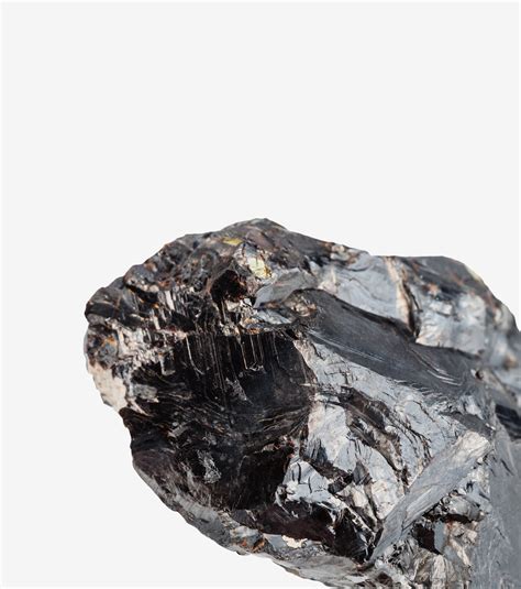 Zinc - Gundry MD®