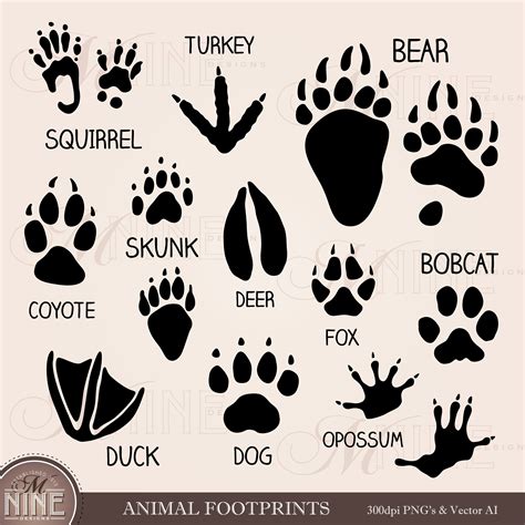 Animal Footprints Clip Art Paw Marks Clipart Downloads | Etsy Canada