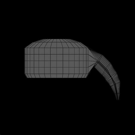 3D model Daniel Boone Hat or Racoon Tail Hat VR / AR / low-poly | CGTrader