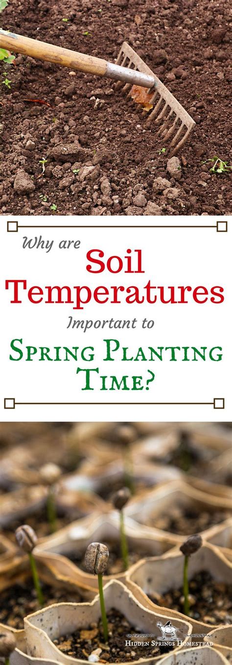 Soil Temperature For Spring Planting Cottage Backyard Backyard Garden