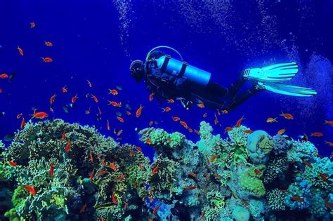 Buzos Bajo El Agua En Profundidad En El Fondo Azul Del Mar Foto Premium