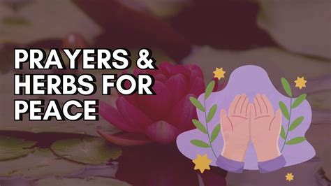 Blending Prayers And Herbs For Inner Peace Dua Dose YouTube