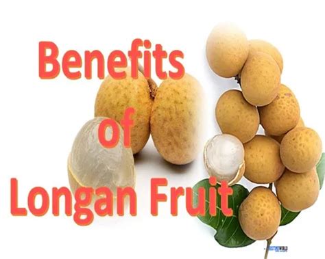 benefits  longan fruit