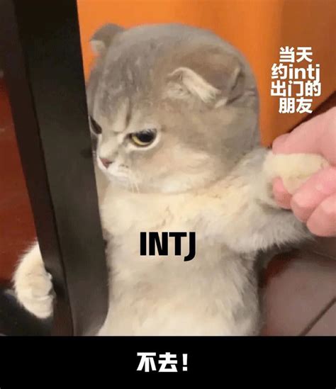 Infj型人格给人的感觉是什么样的 知乎