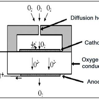 Design And Sensing Mechanism Of An Amperometric Oxygen Sensor With A