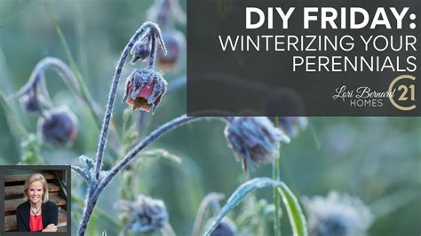 DIY Friday Winterize Perennials YouTube