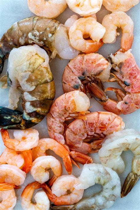 Types and Sizes of Shrimp - Jessica Gavin