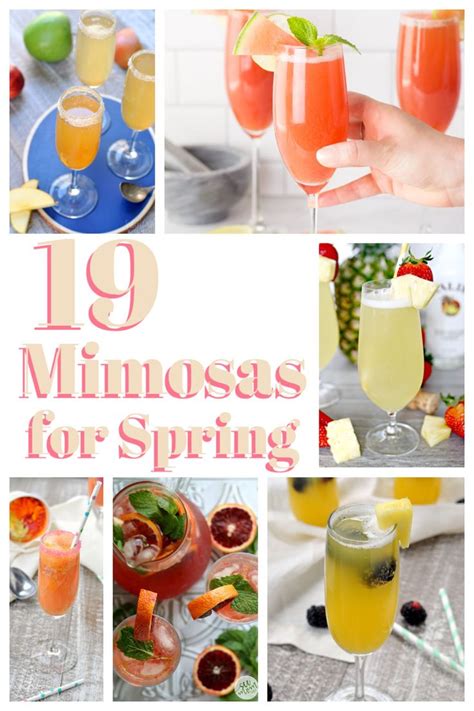 19 Mimosa Recipes Perfect For Spring My Suburban Kitchen Mimosa