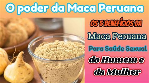 Maca Peruana Para Que Serve Veja O Poder Da Maca Peruana E Seus