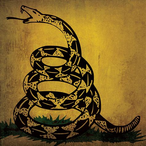 Gadsden (Don't Tread On Me) Flag Art - City Prints