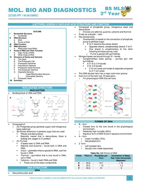 Mol Bio Trans Lec Mbio Mol Bio And Diagnostics Lecture Ppt Ma