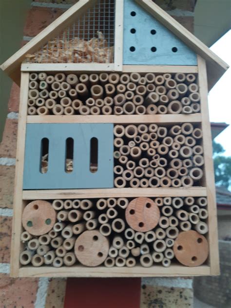 My Native Bee House is Filling Up. : r/bees