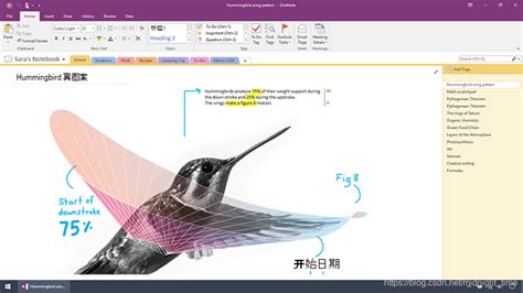 Onenote 与 Onenote 2016 有什么区别？onenote2019和2016的区别 Csdn博客