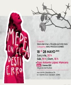 Medea En El Destierro Cartelera De Teatro CDMX