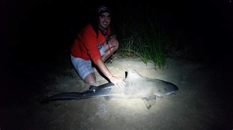 River Monster Bull Shark