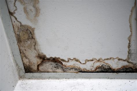 Does Homeowners Insurance Cover Slab Leaks