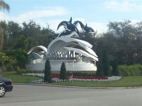 SeaWorld Orlando Parking Lot | Seaworld orlando, Sea world, Orlando