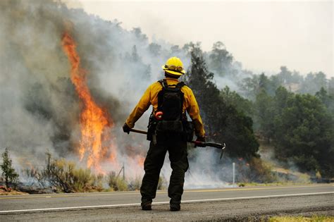 What You Need to Know About Wildfires in Arizona