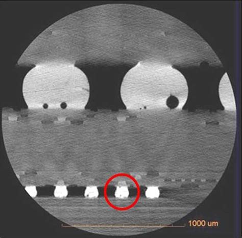 High Resolution 3d X Ray Microscope Ist Integrated Service Technology