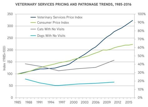 How Much Does A Vet Visit Cost Heres Everything You Need To Know