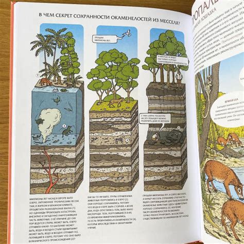 Книга: Животные затерянного мира - Лавердан, Ражак. Купить книгу ...
