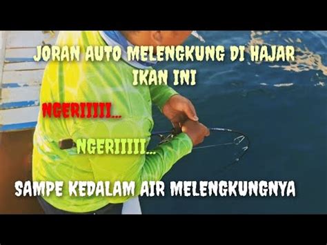 Mancing Light Jigging Jam Mancing Hasilnya Luar Biasa Strike