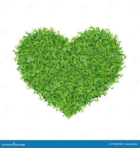 Small green plants stock photo. Image of grow, lively - 19635248