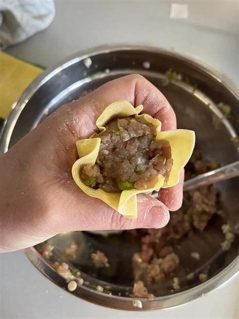 Siu Mai Dim Sum Recept Ohmydish