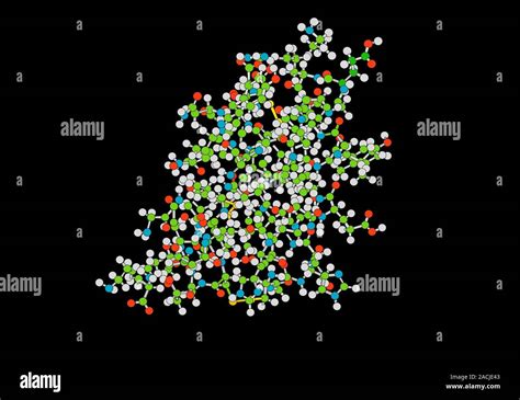 Insulin Molecule Computer Model Showing The Structure Of A Molecule Of