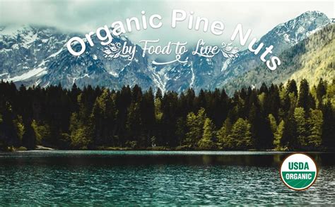 Amazon Food To Live Organic Pine Nuts Pounds Non Gmo Whole