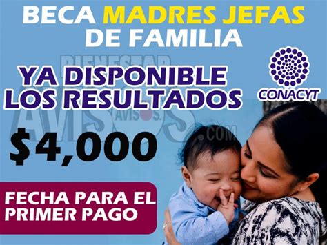 Resultados De La Beca Madres Jefas De Familia As Puedes