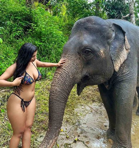 Pratika Sood Bathing An Elephant In A Two Piece Bikini Outfit In Her Thailand Vacation