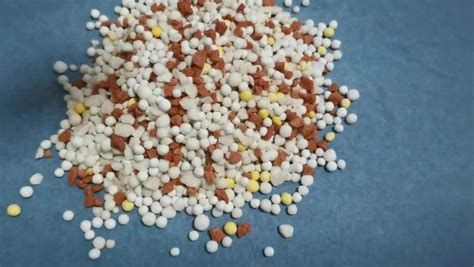 Лучшие комплексные удобрения: виды, как применять для растений, как вносить