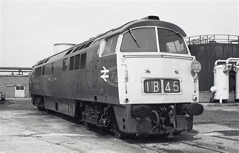 The Transport Library British Rail Diesel Loco Class 52 Western 1062 At Swindon Works In