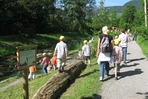 Wandern Von Brannenburg Aus Naturerlebnispfad Im Brandl Chiemsee