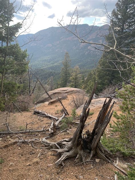 Gray Back Peak Trail - Colorado | AllTrails