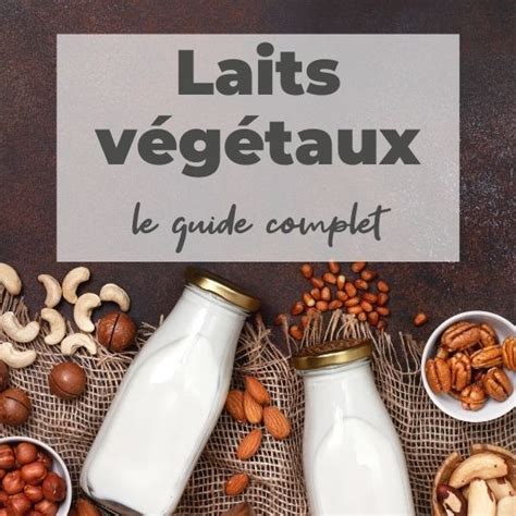 Laits végétaux le guide complet Végétalise toi