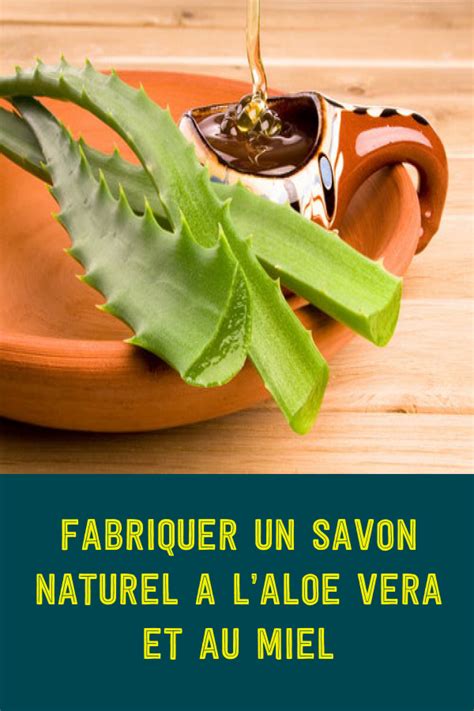 Fabriquer un savon naturel à laloe vera et au miel Recette aloe vera